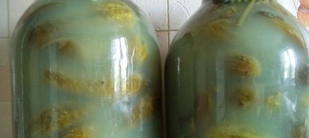 Соленые огурцы без уксуса на зиму