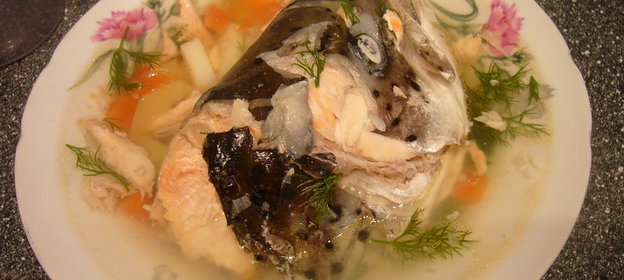 Уха из семги (вариант)