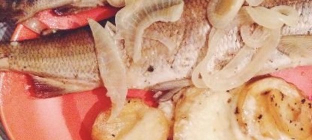 Уха «Воды океана»