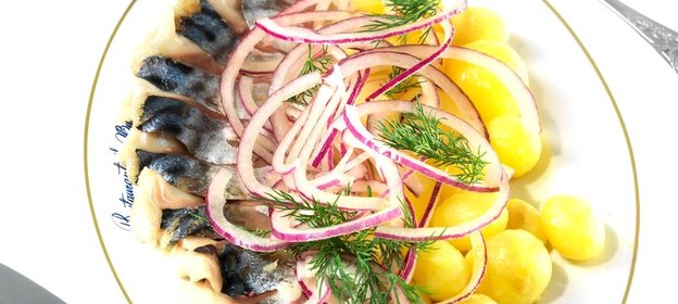 Слабосоленая скумбрия