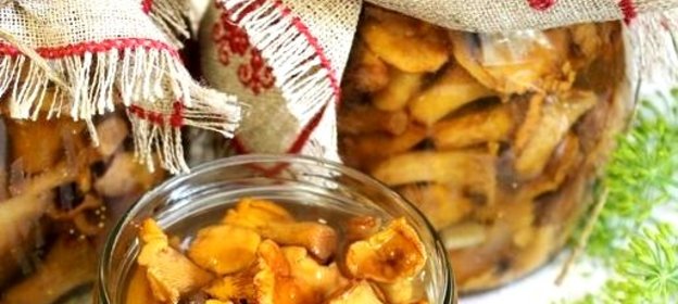 Лисички маринованные соленые