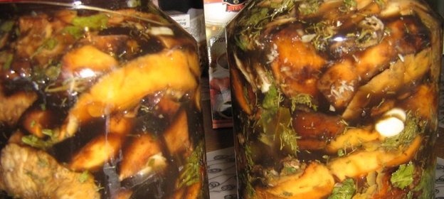 Соленые белые грузди