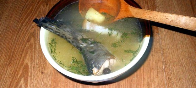 Уха из горбуши