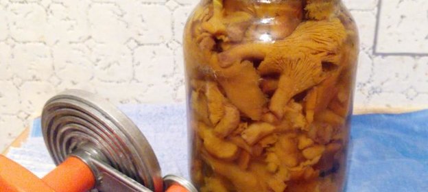 Лисички соленые в банках