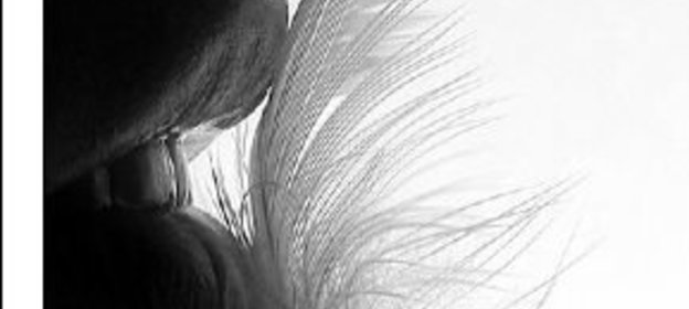 Щи из сома и свежей капусты