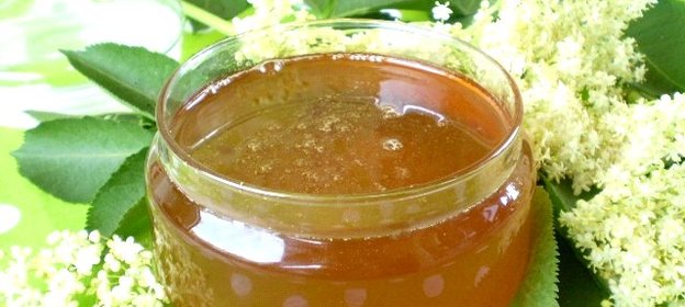 Мёд из бузины