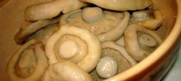 Грузди, соленые в бочке