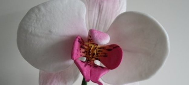 Цветочная паста для сахарных цветов + Орхидея из цветочной пасты