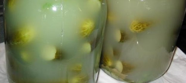 Огурцы соленые консервированные