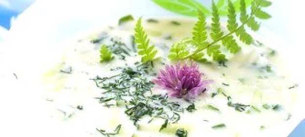 Соус из огурцов с зеленью и чесноком дзадзики