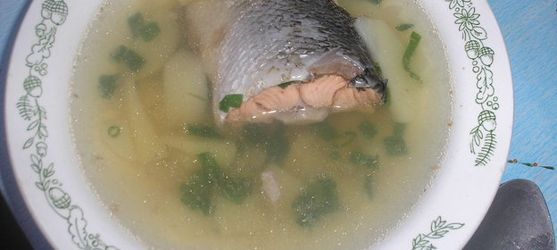 Уха из семги (вариант)