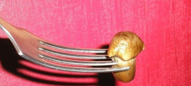 Соленые опята в банках