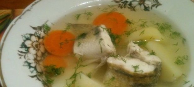 Уха из судака