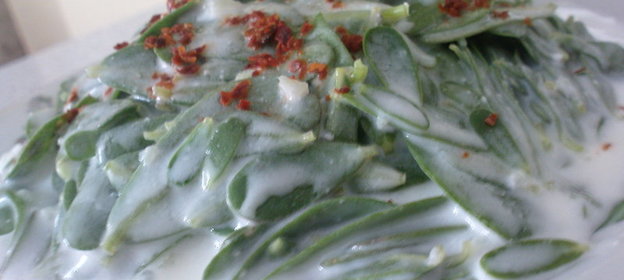 портулак с йогуртом (yoğurtlu semizotu salatası)