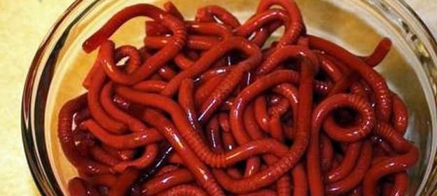 Мармеладные червячки