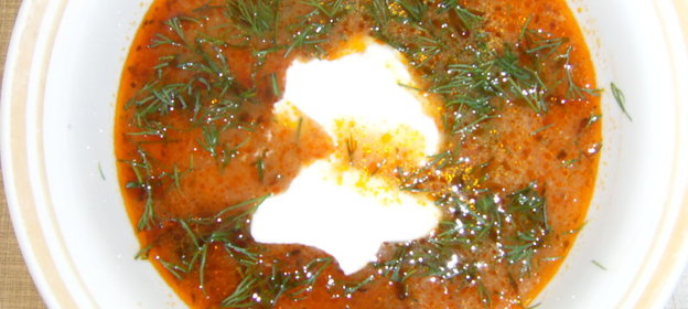 Щи из квашеной капусты с мясом