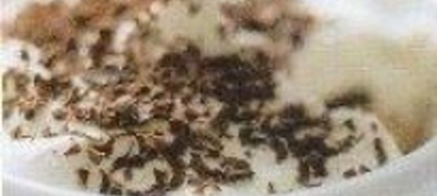 Томатный салат с хлебом