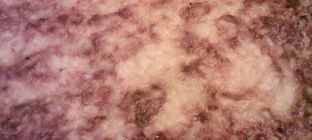 Капустно-морковная запеканка с творогм и сыром