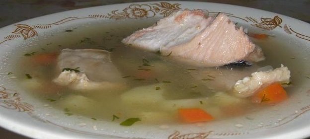 Уха из горбуши
