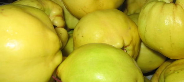 Джем сборный