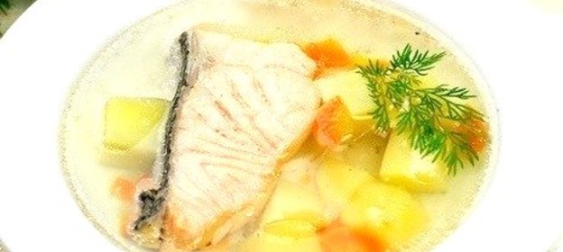 Уха из семги