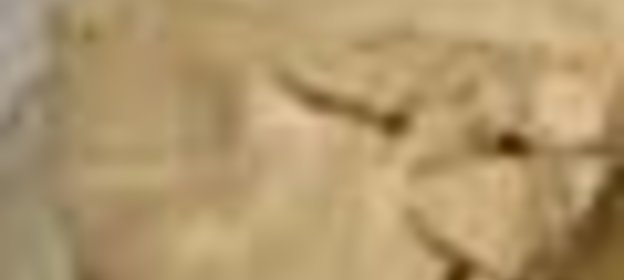 Желе из черной смородины