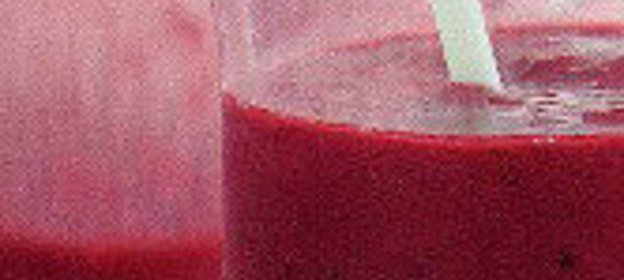 Гранатовый коктейль (смузи)