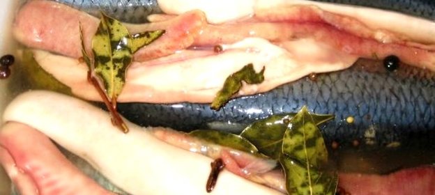 Маринад для селедки