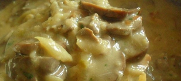 Говяжьи почки в сметанно-луковом соусе с солеными огурцами