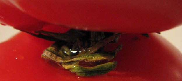 Паста с томатно-сырным соусом