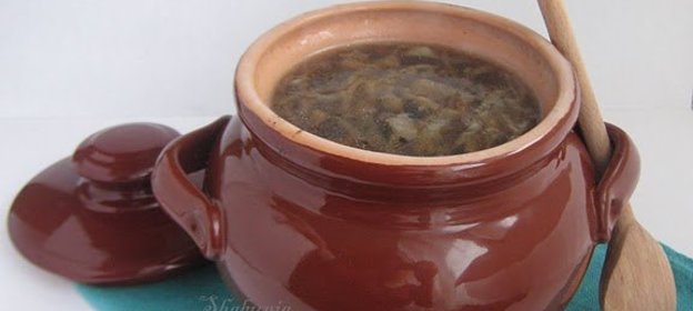 Щи кислые с грибами