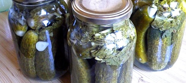 Соленые огурцы без стерилизации