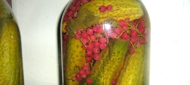 Соленые огурцы с красной смородиной