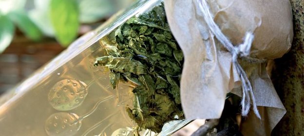 Мятное желе