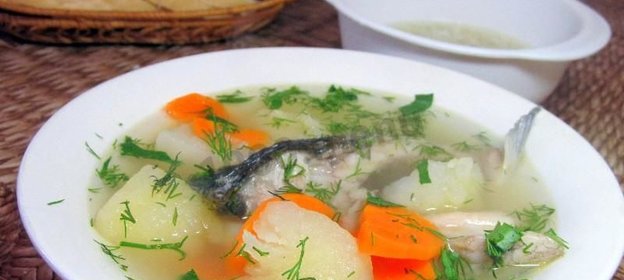 Уха из речной рыбы