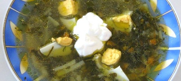 Щи из щавеля на курином бульоне