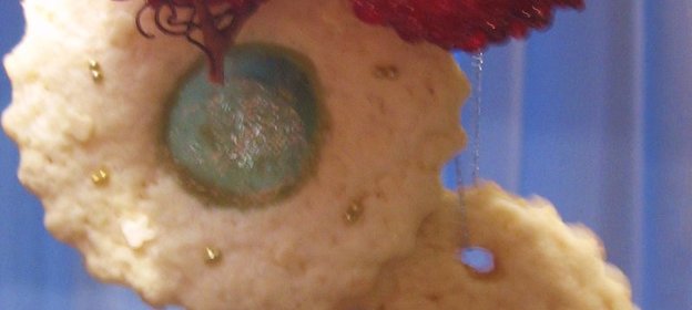 Детское имбирное печеньеце (репетиция к Рождеству)