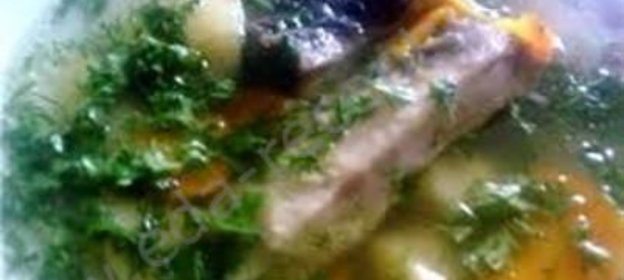 Уха горская из форели с тархуном