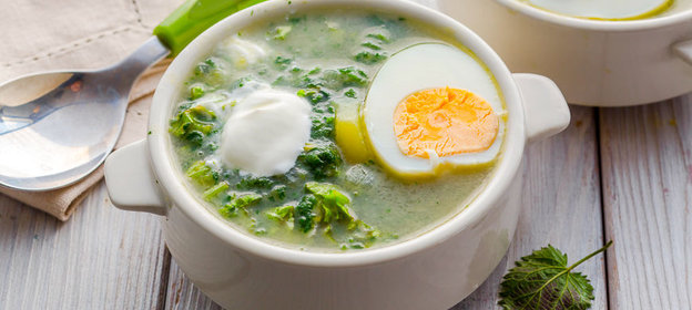 Щи из крапивы