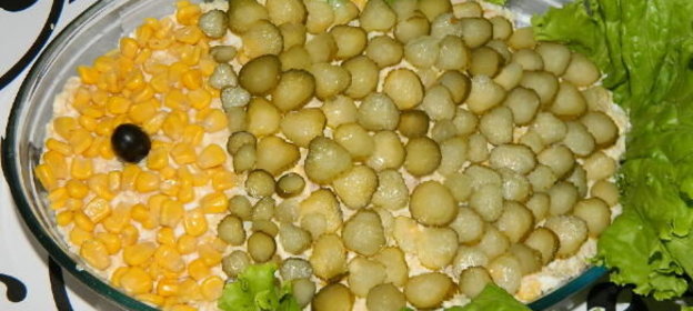 Мясной бульон быстрый