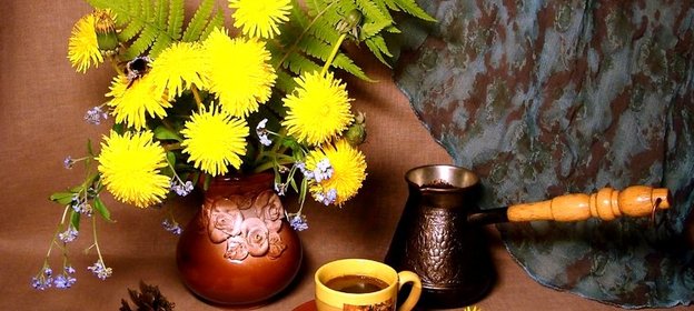 Кофе из корней одуванчика