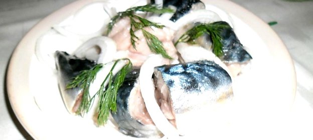 Слабосоленая скумбрия