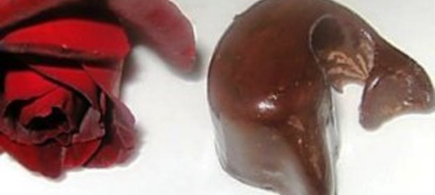 Шоколадные конфеты