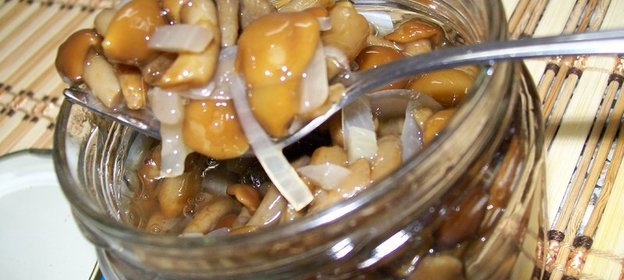 Опята маринованные и салатик из них...плюс бонус на ГРИБНУЮ тему