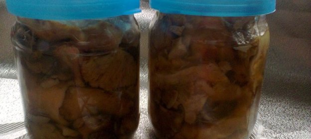 Грузди соленые горячим способом