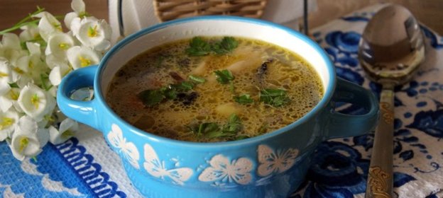 Суп с шампиньонами и фарфалле на курином бульоне