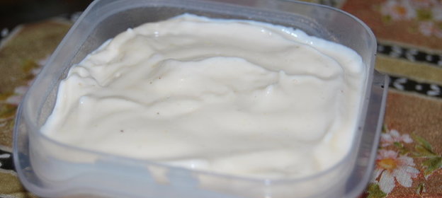 Майонез домашний (в блендере)