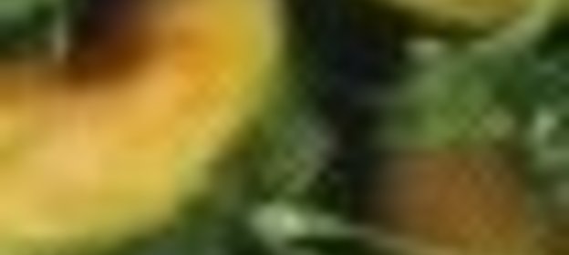 Одноступенчатый кекс