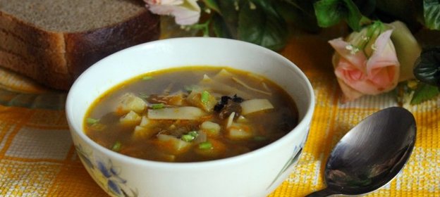 Суп с сушеными грибами и лапшой на курином бульоне