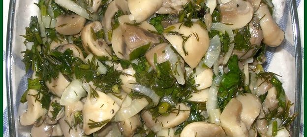 Соленые маслята быстро